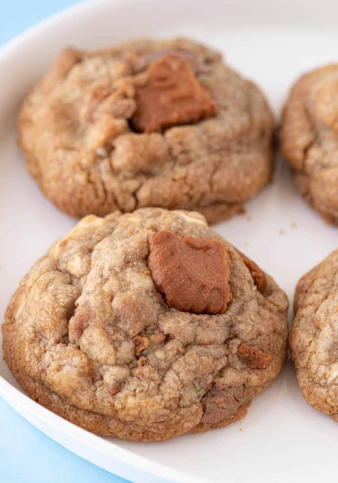 Biscoff Cookie